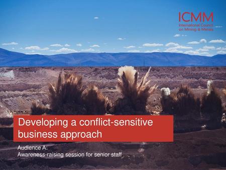 Developing a conflict-sensitive business approach