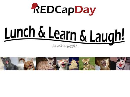 Lunch & Learn & Laugh! (or at least giggle).