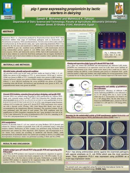 plg-1 gene expressing propionicin by lactic starters in dairying