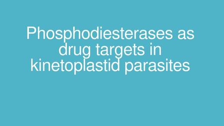 Phosphodiesterases as drug targets in kinetoplastid parasites