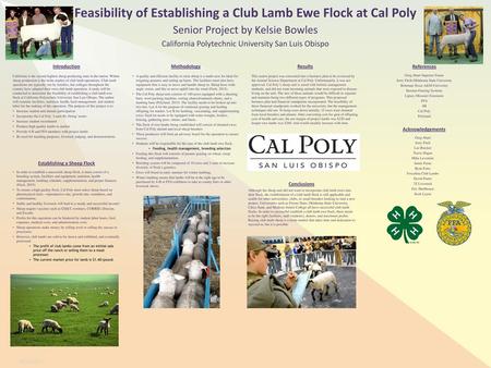 Feasibility of Establishing a Club Lamb Ewe Flock at Cal Poly