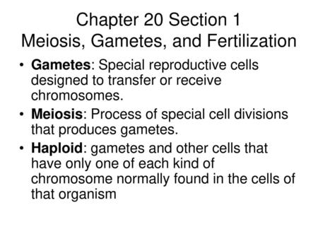 Chapter 20 Section 1 Meiosis, Gametes, and Fertilization