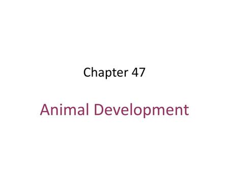 Chapter 47 Animal Development.