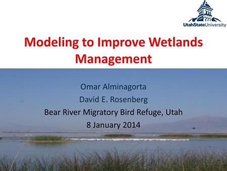 Modeling to Improve Wetlands Management