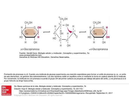 Formación de piranosas α y β