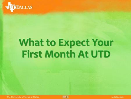 What to Expect Your First Month At UTD