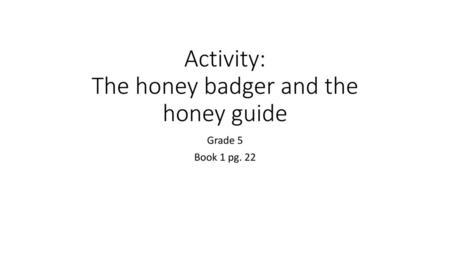 Activity: The honey badger and the honey guide