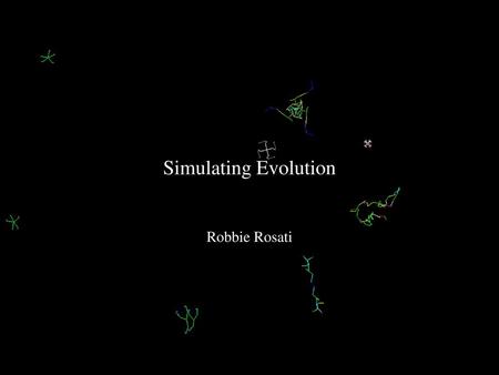 Simulating Evolution Robbie Rosati