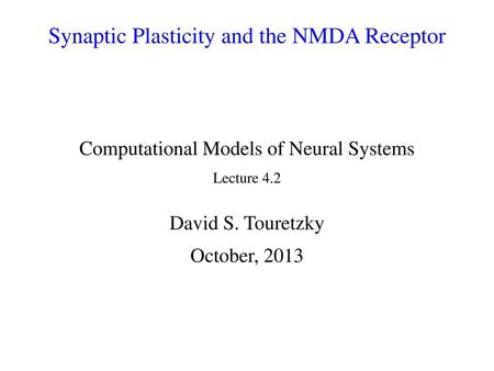 Synaptic Plasticity and the NMDA Receptor