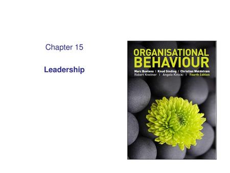 Chapter 15 Leadership 1.