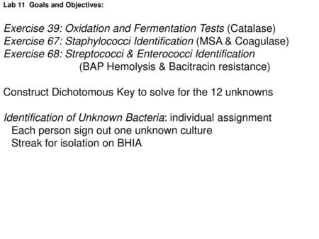 Exercise 39: Oxidation and Fermentation Tests (Catalase)