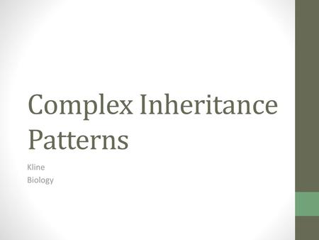 Complex Inheritance Patterns