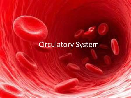 Circulatory System.