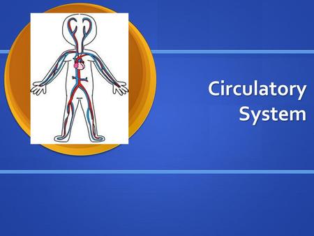 Circulatory System.