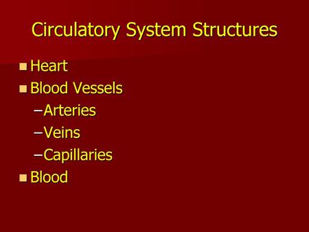 Circulatory System Structures