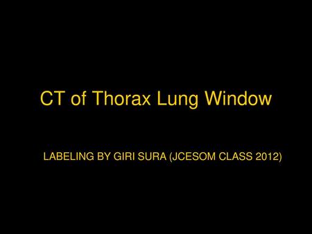 CT of Thorax Lung Window