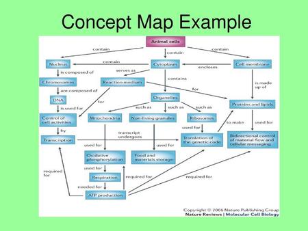 Concept Map Example.