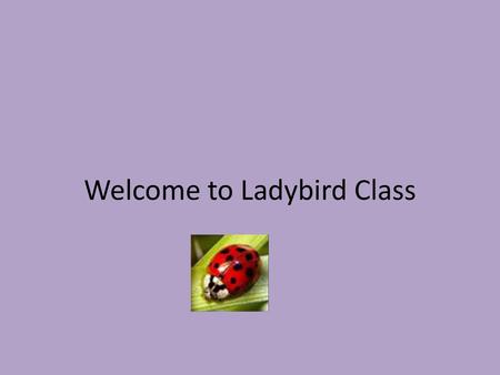 Welcome to Ladybird Class