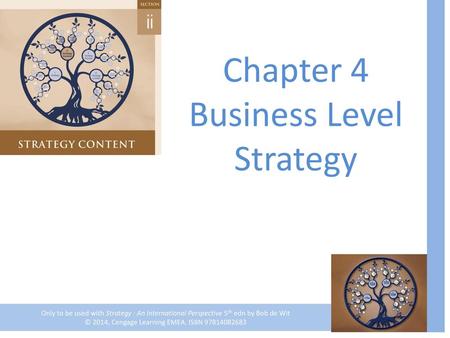 Chapter 4 Business Level Strategy