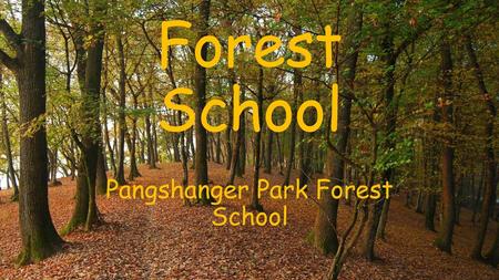 Pangshanger Park Forest School