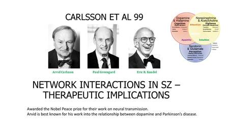 NETWORK INTERACTIONS IN SZ – THERAPEUTIC IMPLICATIONS