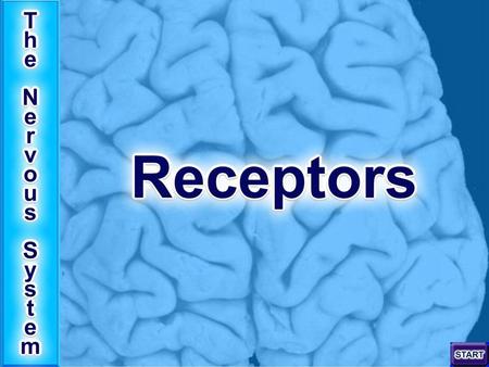 Receptors are transducers