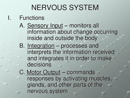 NERVOUS SYSTEM Functions