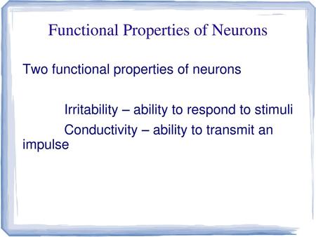 Functional Properties of Neurons