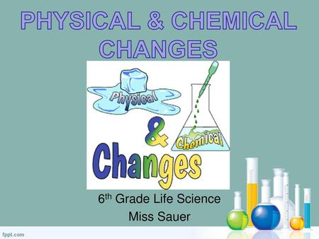 6th Grade Life Science Miss Sauer