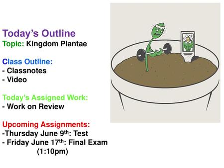 Today’s Outline Topic: Kingdom Plantae Class Outline: - Classnotes - Video Today’s Assigned Work: - Work on Review Upcoming Assignments: -Thursday.