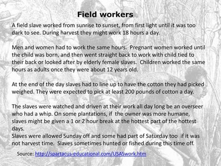 Field workers A field slave worked from sunrise to sunset, from first light until it was too dark to see. During harvest they might work 18 hours a day.