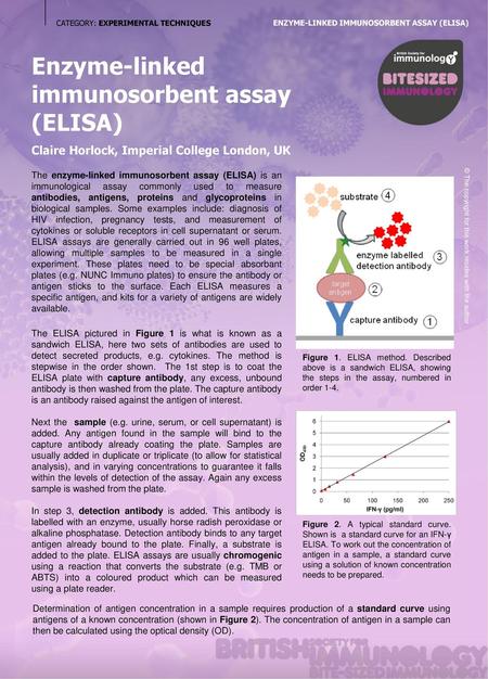 Enzyme-linked immunosorbent assay (ELISA)