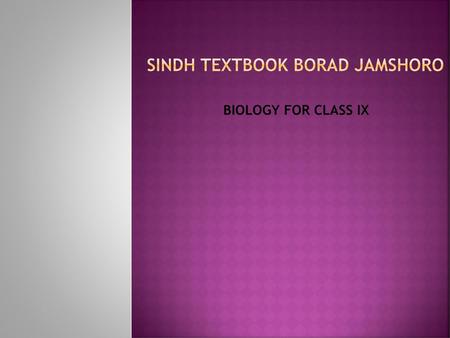 SINDH TEXTBOOK BORAD JAMSHORO