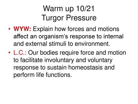 Warm up 10/21 Turgor Pressure