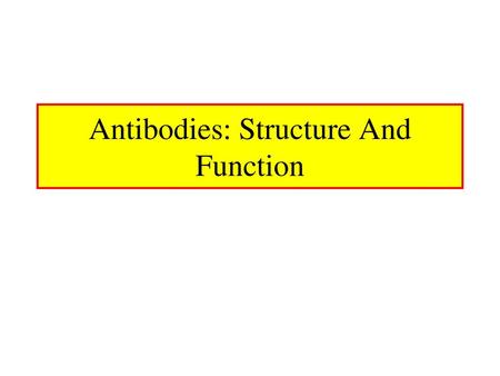 Antibodies: Structure And Function