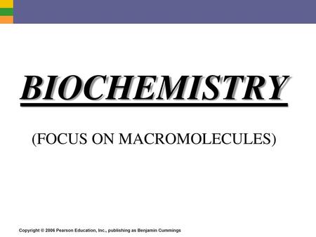 (FOCUS ON MACROMOLECULES)