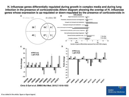 H. influenzae genes differentially regulated during growth in complex media and during lung infection in the presence of corticosteroids AVenn diagram.