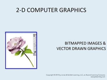 BITMAPPED IMAGES & VECTOR DRAWN GRAPHICS