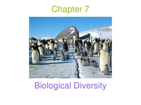 Chapter 7 Biological Diversity.