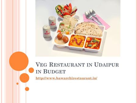 V EG R ESTAURANT IN U DAIPUR IN B UDGET