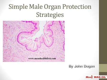 Simple Male Organ Protection Strategies