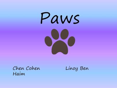 Paws Chen Cohen Linoy Ben Haim.