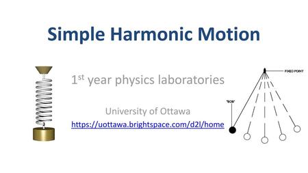 Simple Harmonic Motion