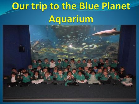 Our trip to the Blue Planet Aquarium