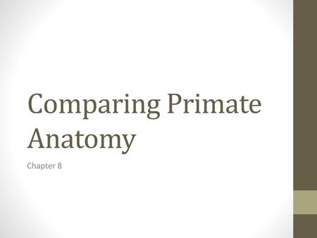 Comparing Primate Anatomy