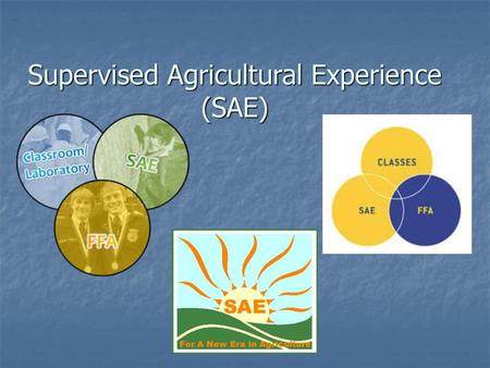 Supervised Agricultural Experience (SAE)