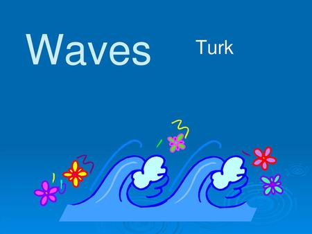 Waves Turk 1.