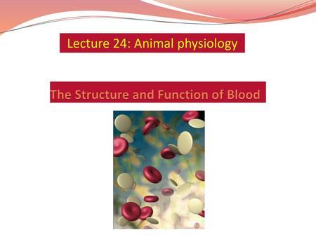 The Structure and Function of Blood