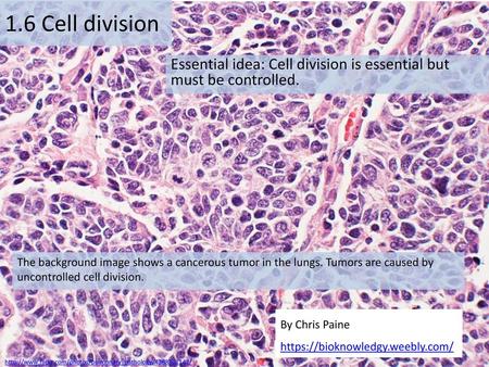 Essential idea: Cell division is essential but must be controlled.