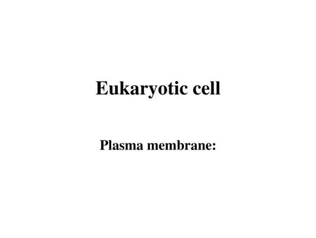 Eukaryotic cell Plasma membrane:.